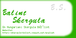 balint skergula business card